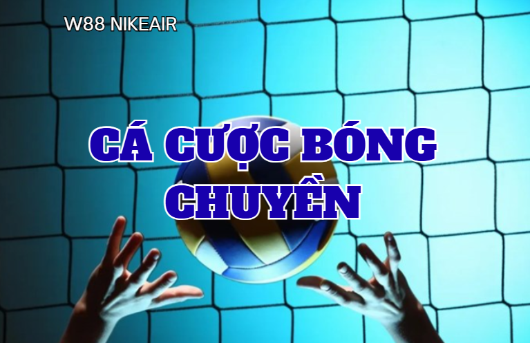 Cá cược bóng chuyền W88 Cá cược bóng chuyền W88