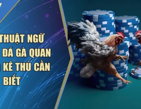 Các Thuật Ngữ Trong Đá Gà