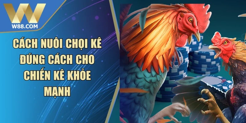 Cách Chọn Giống Giỏi