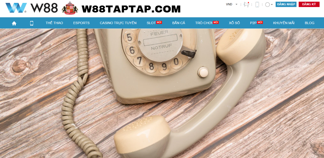 Liên hệ W88 Liên hệ W88